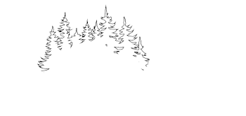 Tannenbär Blog Logo, Björn Hofmann, Outdoor und Abenteuer
