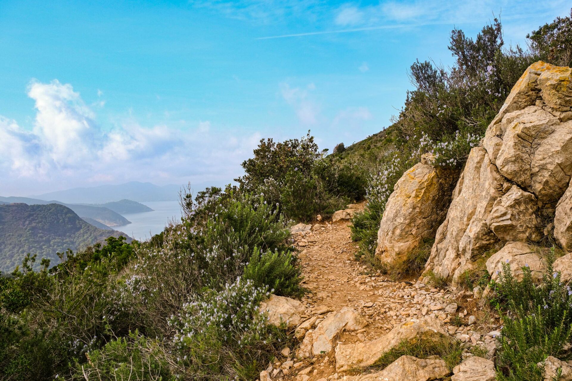 Wandern auf dem GTE Elba: die große Inselüberquerung | Tannenbär